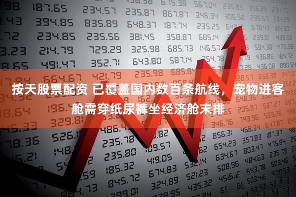 按天股票配资 已覆盖国内数百条航线，宠物进客舱需穿纸尿裤坐经济舱末排