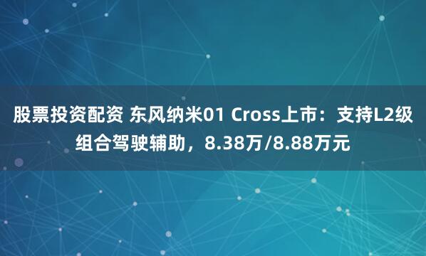 股票投资配资 东风纳米01 Cross上市：支持L2级组合驾驶辅助，8.38万/8.88万元