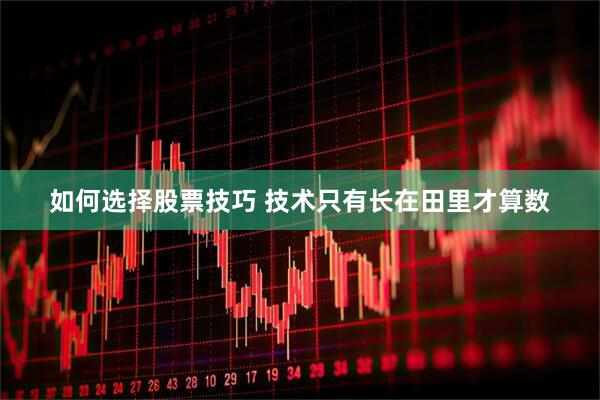 如何选择股票技巧 技术只有长在田里才算数